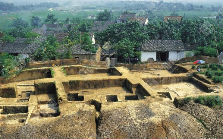 反山墓地1986年夏季发掘时的坑位,这片墓地是良渚文化中期最高等级